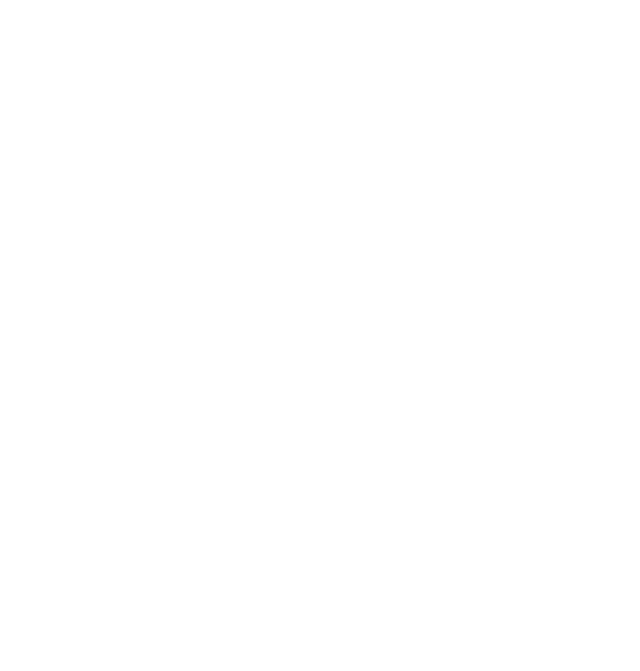 Insider Car Rental